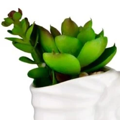 B&M Scandi Shore Small Shell Succulent -Home Furnishings Store 380110 small shell succulent 2