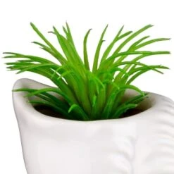 B&M Scandi Shore Small Shell Succulent -Home Furnishings Store 380110 small shell succulent 5