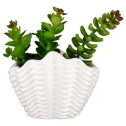 B&M Scandi Shore Small Shell Succulent -Home Furnishings Store 380110 small shell succulent 7